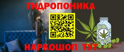 прущие крисы Пушкино