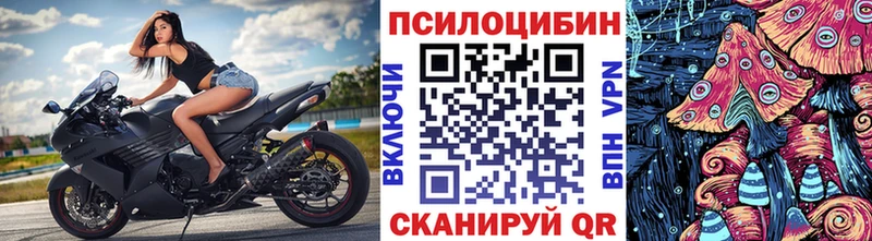 Псилоцибиновые грибы Psilocybine cubensis  Якутск 