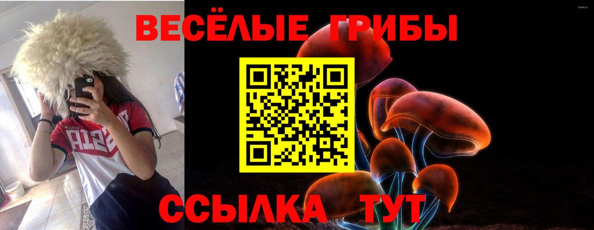 Якутск  Галлюциногенные грибы Cubensis  Вход с VPN 