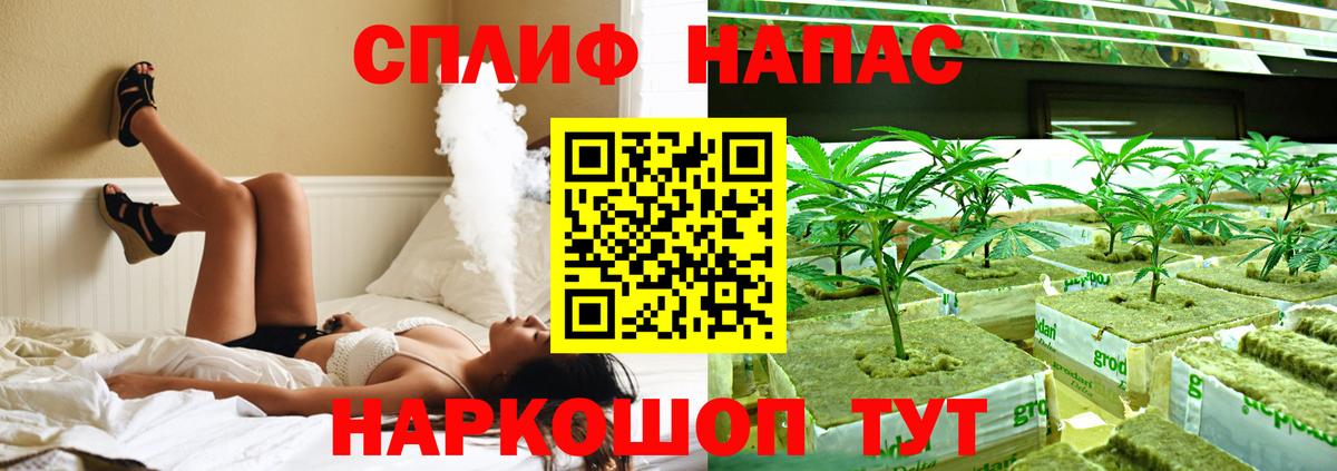 Каннабис индика  Вход с VPN  Конопля OG Kush  Каннабис планчик  Якутск 